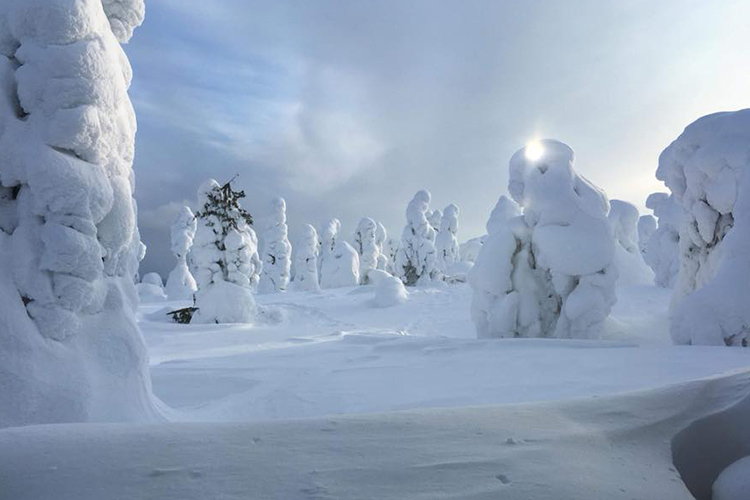 House-of-Healing-You-TIme-Lapland-11-web
